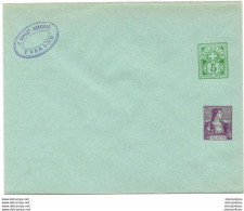 293 - 102 - Entier Postal Privé   "P Gonset-Henrioud Yverdon" - Ganzsachen