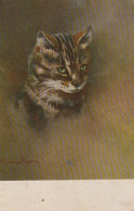 FI 9 - PORTRAIT DE CHAT - ILLUSTRATEUR MINNIE KEENE - 2 SCANS - Autres & Non Classés