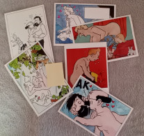 6 Cartes Postales Neuves Un Peu "coquine" Sur "Tintin" Mais Illustrées Par Jan Bucquoy (attitude Art Gallery) - Unclassified