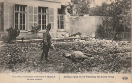 GU Nw - CHASSEUR D' AFRIQUE ASSISTANT A L' AGONIE DE SON CHEVAL - RUINES - 2 SCANS - Weltkrieg 1914-18
