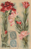 GU Nw - COMPOSITION FLORALE D' OEILLETS - LETTRE N - ILLUSTRATEUR KLEIN - 2 SCANS - Klein, Catharina