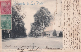 DE Nw28- AVENIDA PRINCIPAL DEL BOSQUE - RECUERDO DE LA PLATA -  ARGENTINA - OBLITERATION 1903 - Argentina