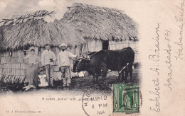 DE Nw30-  A CUBAN " BOHIO " WITH " GUAJIROS " - ATTELAGE BOEUFS - OBLITERATION 1904 HABANA , CUBA - Cuba