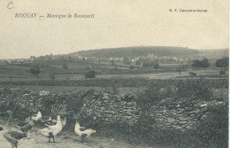 BONNAY Montagne De Besançeuil – Rare - Oies – Voyagée 1909 - B.F. Chalon-s-Saone - Other & Unclassified