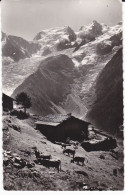 74 Dans Les Hauts Alpages Au Pays Du Mont-Blanc - Circulée 1958 - Chamonix-Mont-Blanc