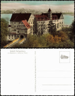 Heiligenberg (Bodenseekreis) Schloß Mit Bodensee U. Schweizer Alpen 1962 - Autres & Non Classés
