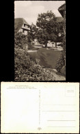 Ansichtskarte Lippoldsberg Klosterhof Mit Blick Zum Wohnsitz 1961 - Other & Unclassified