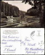 Altensteig Umland-Ansicht Gasthof Pension Zum Anker Wörnersberg 1960 - Autres & Non Classés