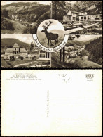 Ansichtskarte Bad Grund (Harz) Mehrbildkarte U.a. Mit IBERGER KAFFEEHAUS 1960 - Bad Grund