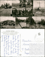 Unterried/Bay. Wald U. Seine Umgebung U.a. GASTSTÄTTE LINDENHOF 1960 - Unclassified