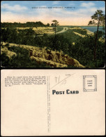 Postcard Pensacola Florida Scenic Highway 1915 - Autres & Non Classés