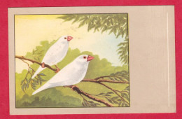 AD24 FANTAISIES OISEAUX PADDA BLANC AQUARELLE P.SLUIS N°63 SERIE 6 - - Birds