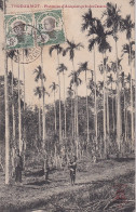 GU Nw - THUDAUMOT ( VIETNAM ) - PLANTATION D'AREQUIERS PRES DES CASERNES - ANIMATION - ENFANTS - OBLITERATION 1911 - Viêt-Nam