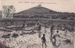 GU Nw- SONTAY - TONKIN ( VIETNAM ) - LA RECOLTE DU RIZ  , PRES DE TONG - ANIMATION - OBLITERATION 1911 - Viêt-Nam