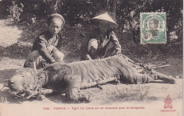 GU Nw- TONKIN ( VIETNAM ) - TIGRE TUE PLACE SUR UN BRANCARD POUR LE TRANSPORTER - OBLITERATION 1911 - Viêt-Nam