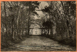 33 - B35158CPA - PREIGNAC - Château La Montagne - Allée Principale Du Parc - Très Bon état - GIRONDE - Sonstige & Ohne Zuordnung