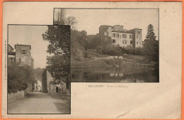 31 - B35174CPA - PALAMINY - Porte Et Château - Signé Marquise De Palamigny - Assez Bon état - HAUTE-GARONNE - Other & Unclassified
