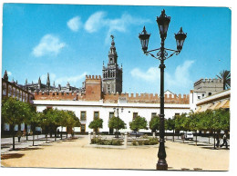 EL ALCAZAR, PATIO BANDERAS / THE CASTLE ALCAZAR, THE COURT OF BANNERS.- SEVILLA / ANDALUCIA.- ( ESPAÑA ) - Sevilla