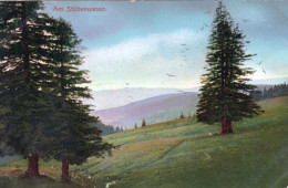 Bade Wurtenberg - FELDBERG - Schwarzwald -  Am Stubenwasen - Feldberg