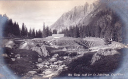 Suisse - Bern - Engelhorner - Am Wege Nach Der Gr. Scheidegg - Other & Unclassified