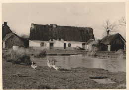 BRECA EN GRANDE BRIERE Vue Par Jaques Cholet - Sonstige & Ohne Zuordnung