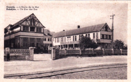 COXYDE - KOKSIJDE -  L'étoile De La Mer - De Ster Der Zee - Koksijde