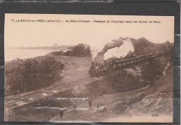 44 - LA BAULE SUR MER - Au Bois D' Amour - Passage De L' Express Dans Les Dunes De Mazy - La Baule-Escoublac