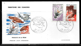 C100 - COMORES - N° 35 Et 38 SUR LETTRE DE DZAOUDZI DU 20/12/65 - PREMIER JOUR - Lettres & Documents