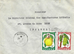 Guinee Guinea 1960 Macenta Citrus Fruit Bananas Cover - Guinee (1958-...)