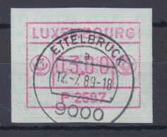 Luxemburg ATM P2507 Wert 03.00 Mit Voll-O ETTELBRUCK 12.7.89 - Vignettes D'affranchissement