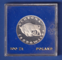 Polen 1977 Silbermünze 100 Złoty - Wiesent PP In Original-Kapsel 16,5gAg625 - Zweden