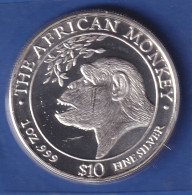 Somalia 1998 Silbermünze 10 Somalia-$ Gorilla 1 Unze 31,10g Ag999 Stg - Otros – Africa