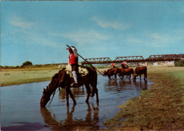 CAMPINOS - RIBATEJO - PORTUGAL - Lisboa