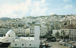 - ALGER. - Vue Générale De La Casbah. - Scan Verso - - Alger