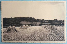 Ronquieres  Charly Des Bois  Panorama - Braine-le-Comte