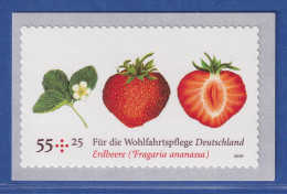 Bund 2010 Wohlfahrt Erdbeere Mit Duft 55 Cent SELBSTKLEBEND Rolle Mi-Nr. 2777 ** - Otros & Sin Clasificación