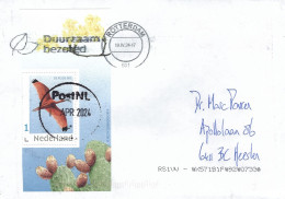 Netherlands Nederland 2024 Gouda Red Ibis Eudocimus Ruber Cactus MS Cover - Uccelli Canterini Ed Arboricoli