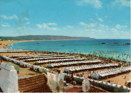 NAZARÉ - Vista Parcial Da Praia - PORTUGAL - Leiria