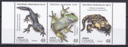 Serbia 2023 Fauna Animals Amphibians Frogs Alpine Newt Fire Salamander MNH - Andere & Zonder Classificatie