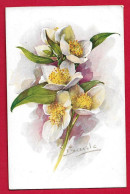 AE844 FANTAISIES FLEURS ROSES DE NOEL HELLEBORES ILLUSTRATEUR BARDE EDITION COLOR PARIS - Flowers