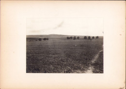 Vedere Spre Dealul Silagiului Buziaș, 1921, Fotografie De George Vâlsan  G111N - Lugares