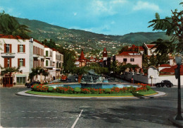 MADEIRA - FUNCHAL - Avenida Arriaga - PORTUGAL - Madeira