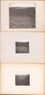 Valea Boos, Lot De 4 Fotografii De Emmanuel De Martonne, 1921 G108N - Places