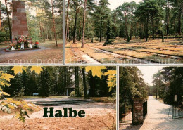 73753386 Halbe Waldfriedhof Halbe Fuer Die Opfer Aus Der Kesselschlacht 1945 Hal - Other & Unclassified