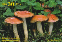 Pholiota Chocenensis, Mushrooms, MK Choceň, Czech Rep., 90 X 60 Mm,  2017 - Tamaño Pequeño : 2001-...