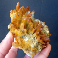 #A51 Schöne QUARZ Kristalle Mit Oxidation (Dalnegorsk, Primorskiy Kray, Russland) - Minerals
