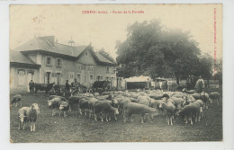 CUNFIN - Ferme De La Fortelle (troupeau De Moutons) - Sonstige & Ohne Zuordnung