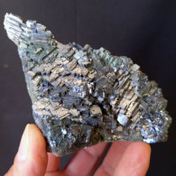 #A54 Schöne GALENIT Kristalle (Madan, Smolyan, Bulgarien) - Mineralen