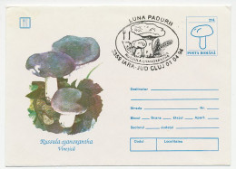Postal Stationery Romania 1994 Mushroom - Pilze