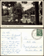 Bad Neuenahr-Bad Neuenahr-Ahrweiler Schwanenteich Mit Kaiser-Wilhelm-Pack 1957 - Bad Neuenahr-Ahrweiler